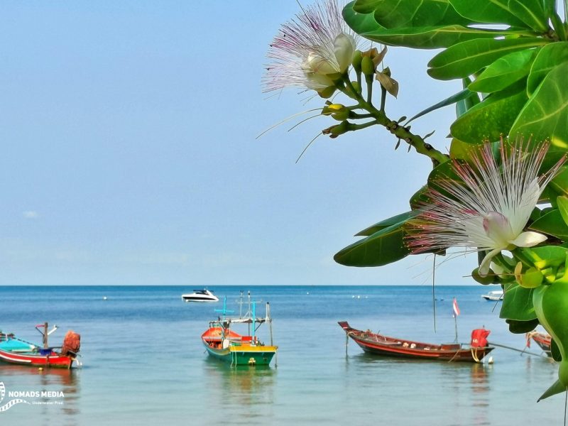 Koh Tao (10)